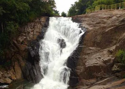 Explore Image