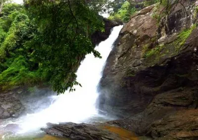 Explore Image