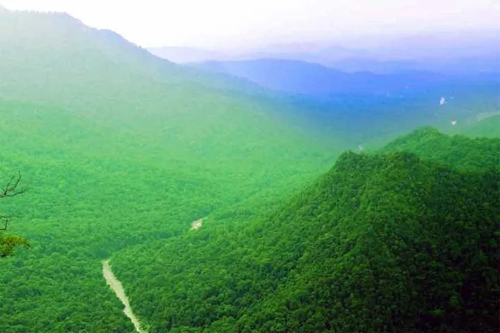 Explore Image